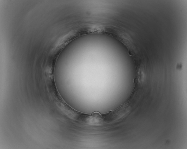 X0000111380714200907171222