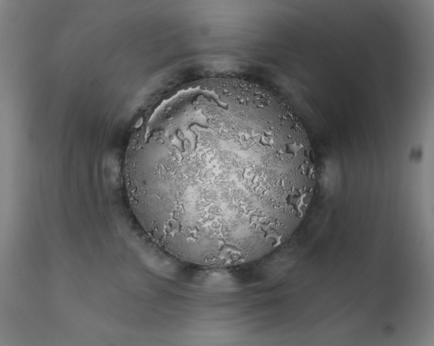 X0000111380715200907171222