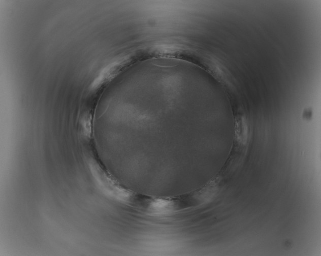 X0000111380718200907171222