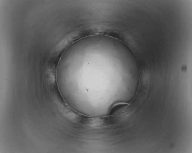 X0000111380719200907171222