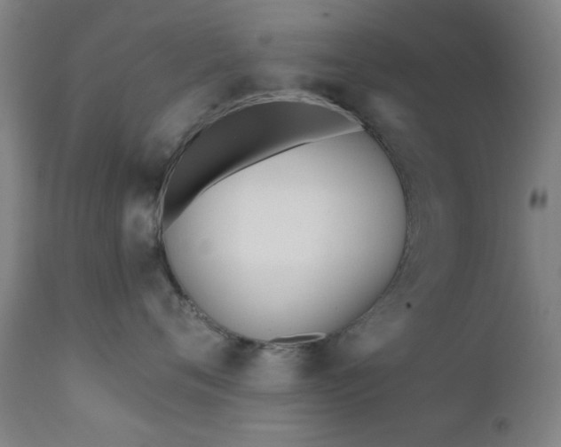 X0000111380720200907171222