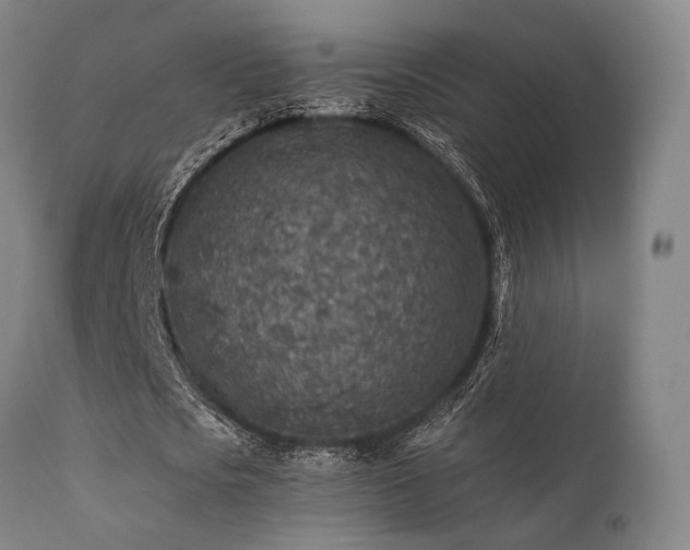 X0000111380721200907171222