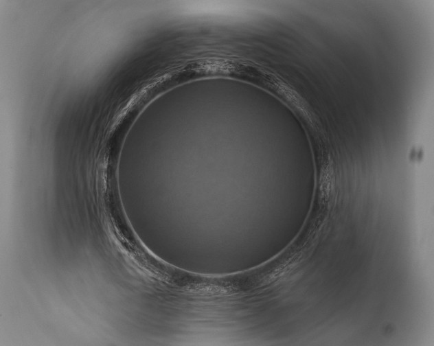 X0000111380722200907171222