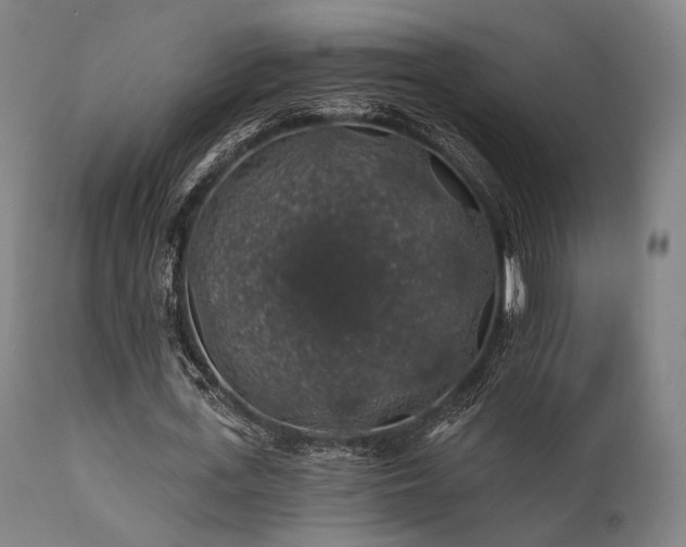 X0000111380723200907171222