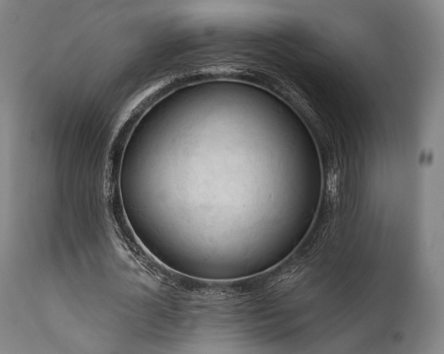 X0000111380724200907171222