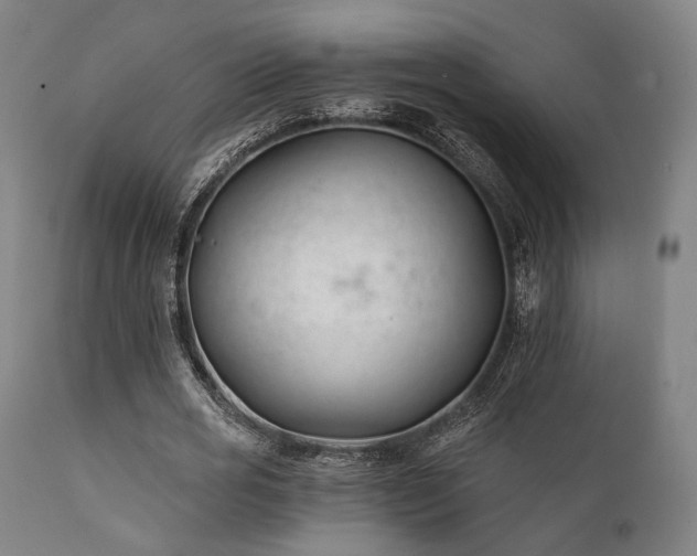 X0000111380725200907171222