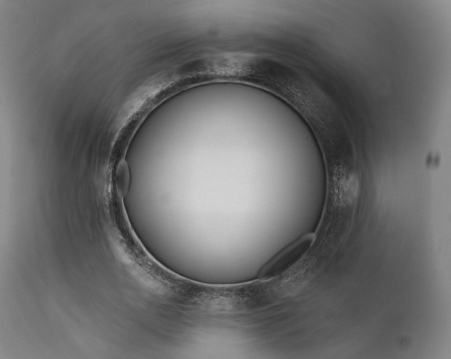 X0000111380726200907171222