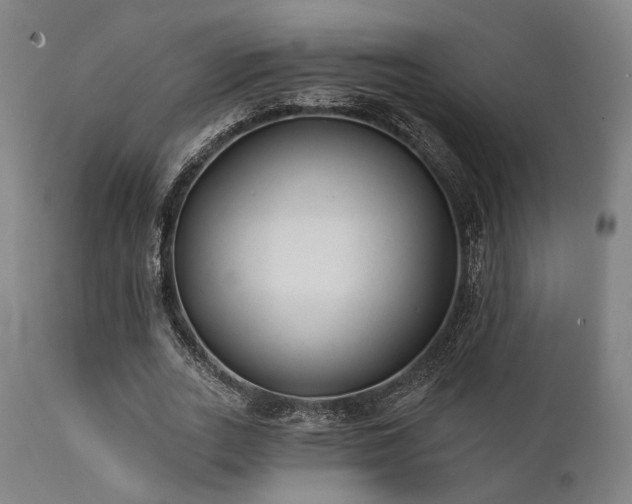 X0000111380727200907171222