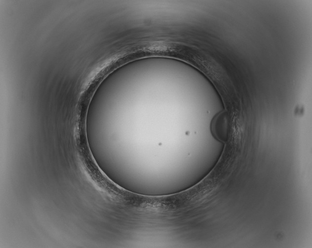 X0000111380728200907171222