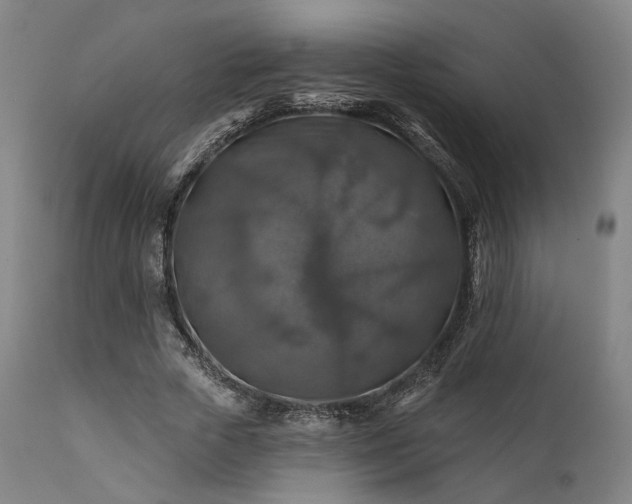 X0000111380729200907171222