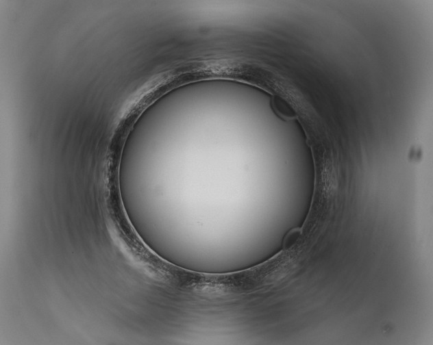 X0000111380730200907171222