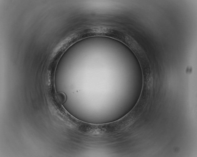 X0000111380731200907171222