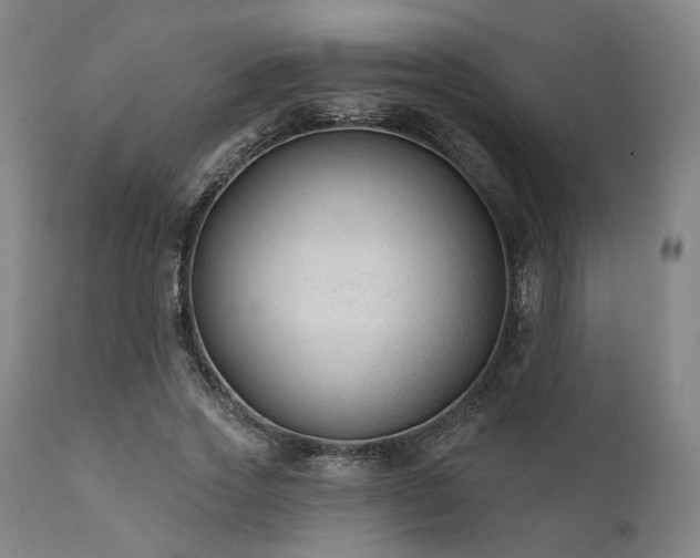 X0000111380733200907171222