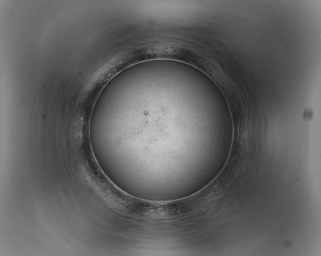 X0000111380735200907171222