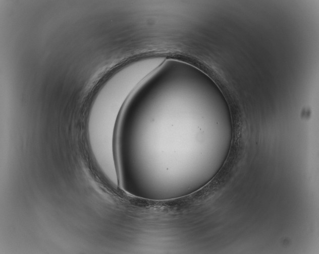 X0000111380736200907171222