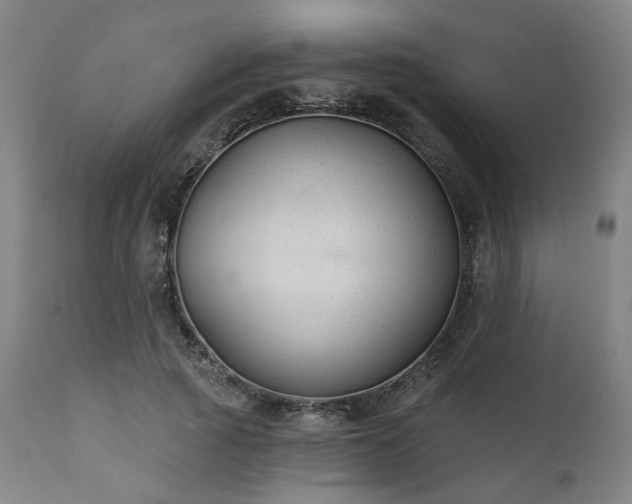 X0000111380737200907171222