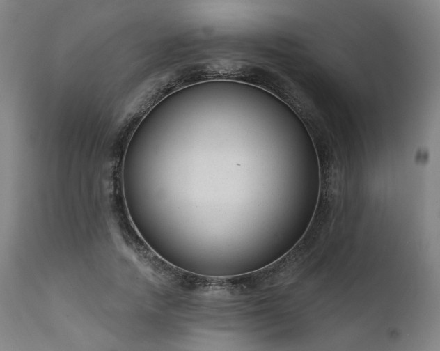 X0000111380738200907171222