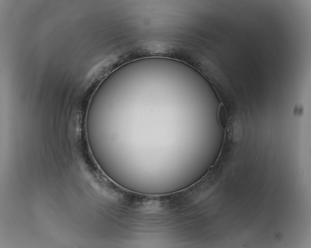 X0000111380740200907171222