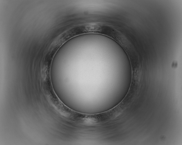 X0000111380741200907171222