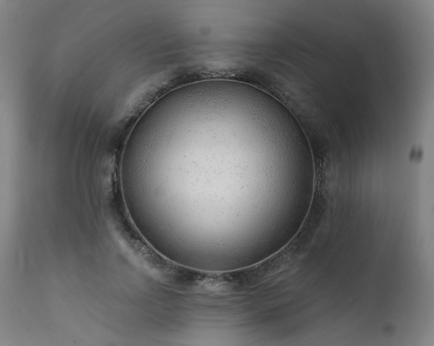 X0000111380742200907171222