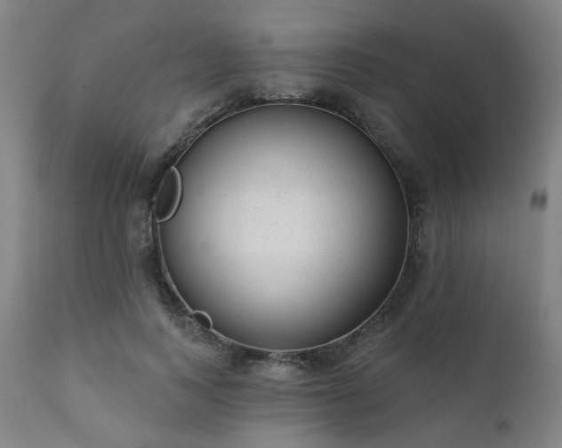 X0000111380743200907171222