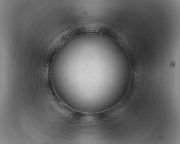 X0000111380745200907171222