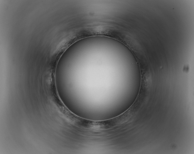 X0000111380746200907171222