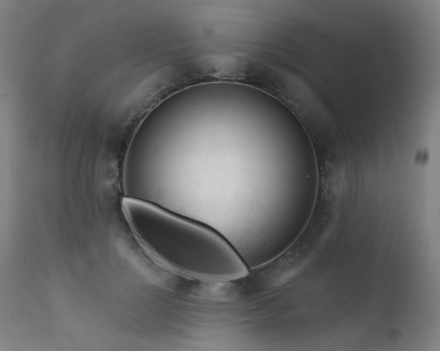 X0000111380748200907171222