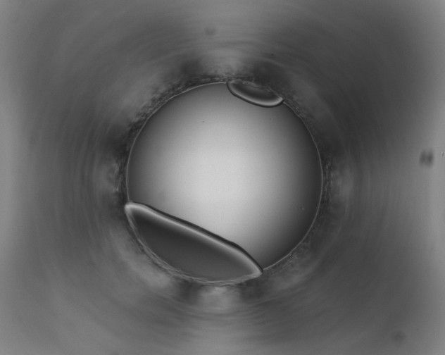 X0000111380750200907171222