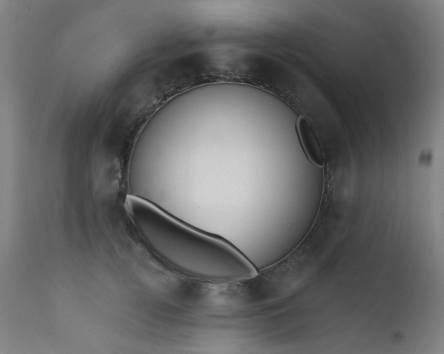 X0000111380752200907171222