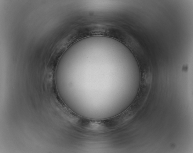 X0000111380753200907171222