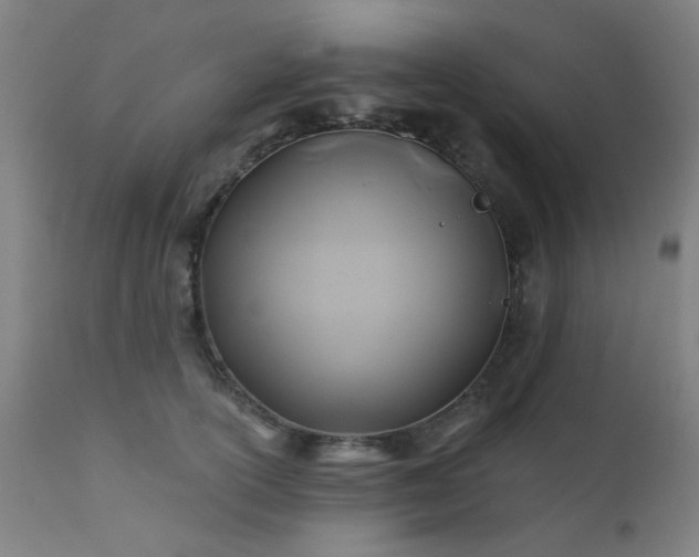 X0000111380754200907171222