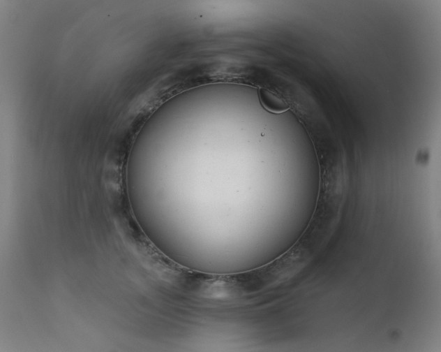 X0000111380755200907171222