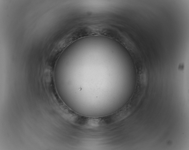 X0000111380757200907171222