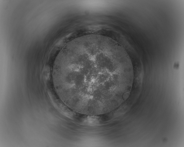 X0000111380758200907171222