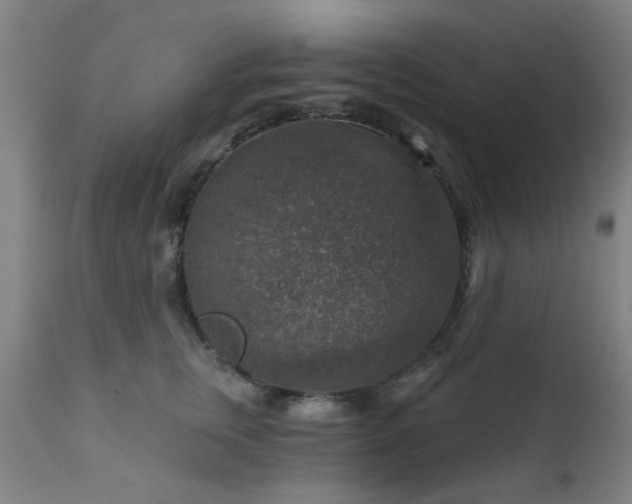 X0000111380759200907171222