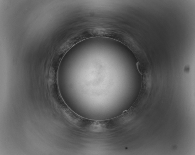 X0000111380760200907171222