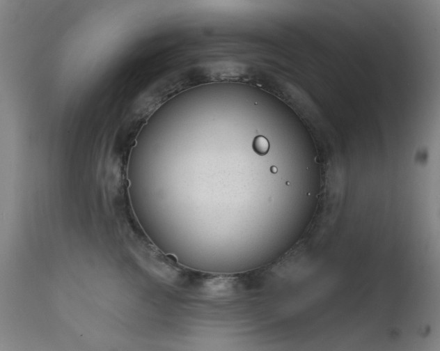 X0000111380761200907171222