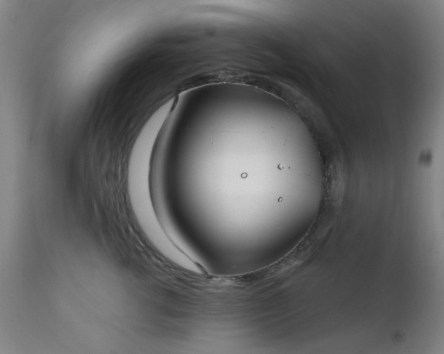 X0000111380762200907171222