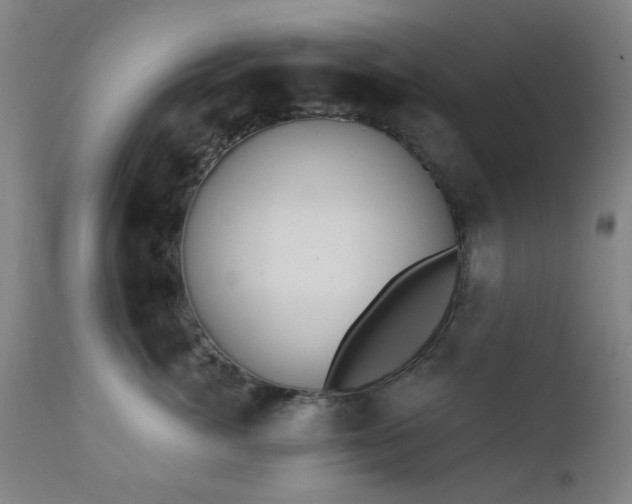 X0000111380764200907171222