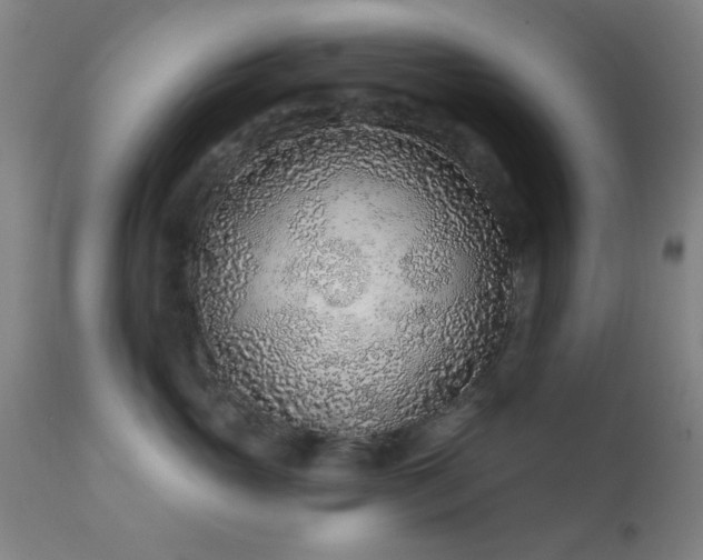 X0000111380765200907171222