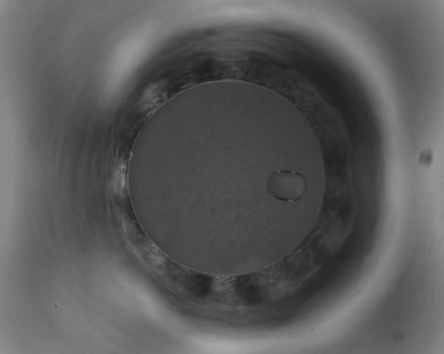 X0000111380766200907171222