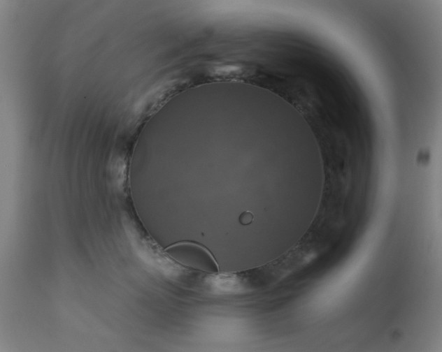 X0000111380767200907171222