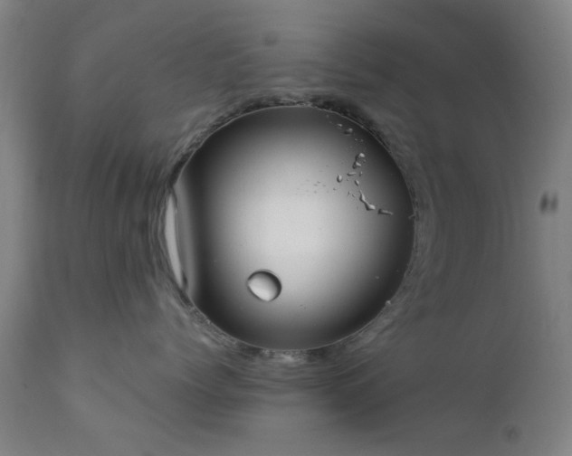 X0000111380768200907171222