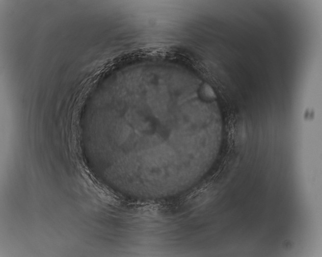 X0000111380769200907171222