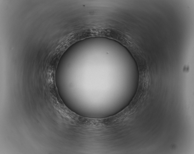 X0000111380770200907171222