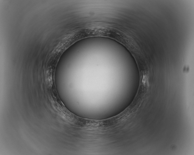 X0000111380771200907171222