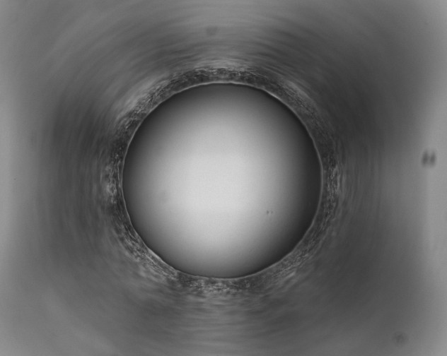 X0000111380774200907171222