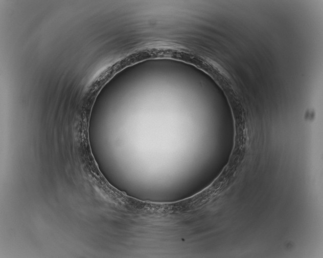 X0000111380775200907171222