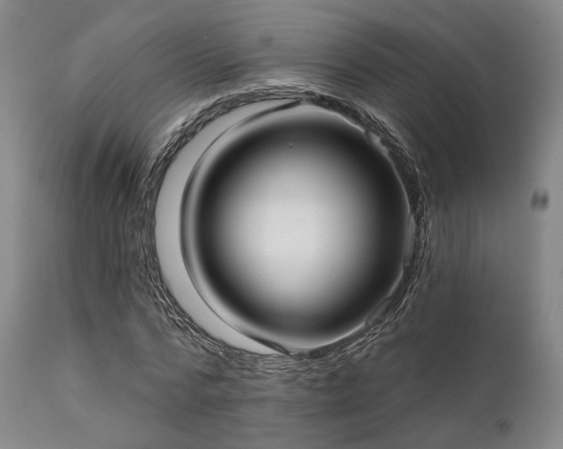 X0000111380776200907171222